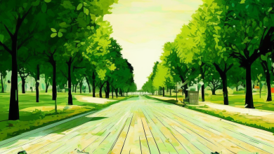 Photo of Кеды как стиль жизни: почему они стали главной обувью XXI века